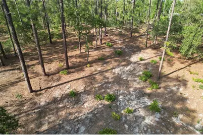Se 148th Court, Morriston, FL 32668 - Photo 1