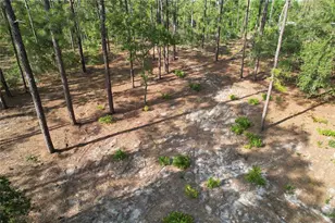148th Ct, Morriston, FL 32668 - Photo 1