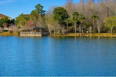 9842 Lake District Lane, Orlando, FL 32832 - Photo 16
