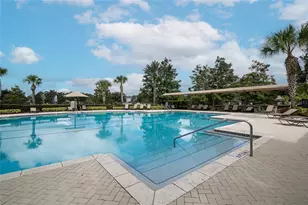12702 Salomon Cove Dr, Windermere, FL 34786 - Photo 48