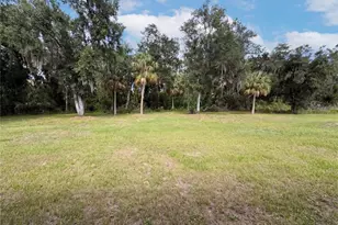 401 River Bed Ct, Wimauma, FL 33598 - Photo 40