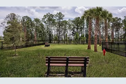 14784 Field Daisy Drive, Winter Garden, FL 34787 - Photo 48