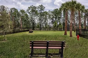 14784 Field Daisy Dr, Winter Garden, FL 34787 - Photo 48