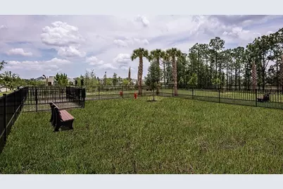 14784 Field Daisy Drive, Winter Garden, FL 34787 - Photo 44