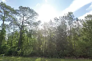 125 Madeira St, Palatka, FL 32177 - Photo 1
