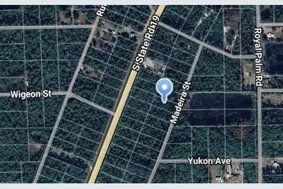 125 Madeira Street, Palatka, FL 32177 - Photo 2