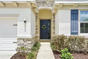 3228 Living Coral Dr, Odessa, FL 33556 - Photo 6
