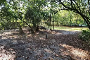 1006 Virginia Ave, Altamonte Springs, FL 32701 - Photo 10