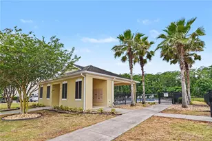 4240 Gumbo Limbo Dr, Orlando, FL 32822 - Photo 38