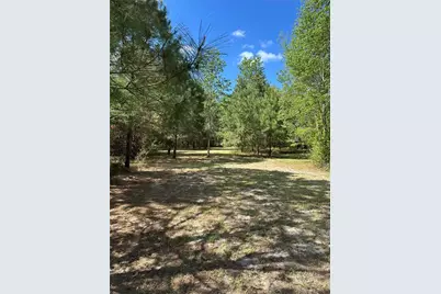 1449 SE October Road, Lake City, FL 32025 - Photo 1