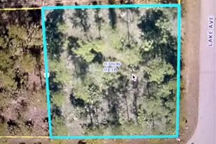 807 E 8th St, Lehigh Acres, FL 33972 - Photo 1
