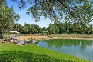 1851 Maytown Rd, Oak Hill, FL 32759 - Photo 40