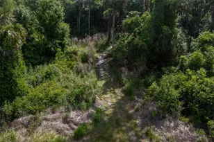 1851 Maytown Rd, Oak Hill, FL 32759 - Photo 56