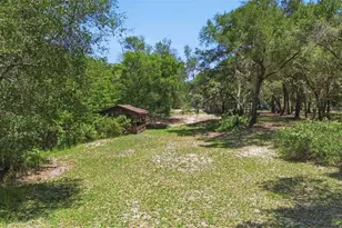 3915 S Spaniel Trail, Inverness, FL 34450 - Photo 48