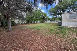 31601 Spruce Dr, Eustis, FL 32736 - Photo 4