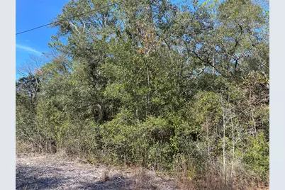 Southwest Beach Blvd, Dunnellon, FL 34431 - Photo 2