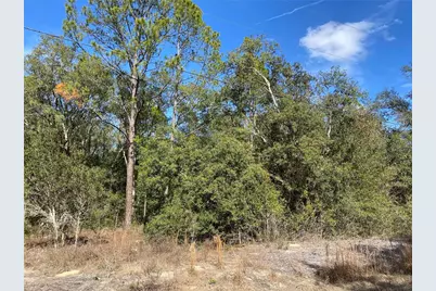 Southwest Beach Blvd, Dunnellon, FL 34431 - Photo 6
