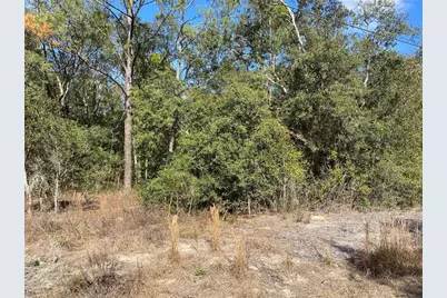 Southwest Beach Blvd, Dunnellon, FL 34431 - Photo 1