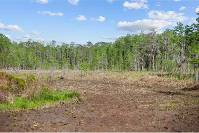 9650 Cockatoo Lane, Groveland, FL 34736 - Photo 48