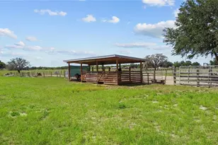 9650 Cockatoo Ln, Groveland, FL 34736 - Photo 40