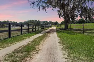 9650 Cockatoo Ln, Groveland, FL 34736 - Photo 2