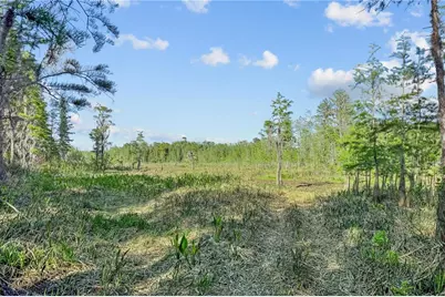 9650 Cockatoo Lane, Groveland, FL 34736 - Photo 50