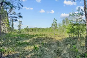 9650 Cockatoo Ln, Groveland, FL 34736 - Photo 50