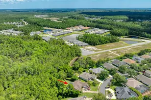 29 Canterbury Woods, Ormond Beach, FL 32174 - Photo 62