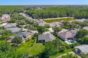 16923 Melissa Ann Dr, Lutz, FL 33558 - Photo 48