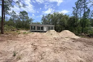 205 Hudson St, Interlachen, FL 32148 - Photo 40
