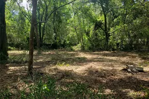 5601 NW 71st St, Ocala, FL 34482 - Photo 4