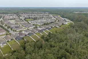 10264 Love Story St, Winter Garden, FL 34787 - Photo 48