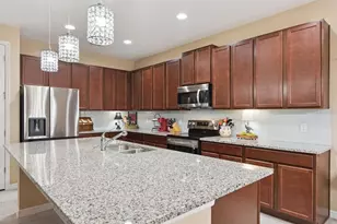 206 Hydra Wy, Groveland, FL 34736 - Photo 4