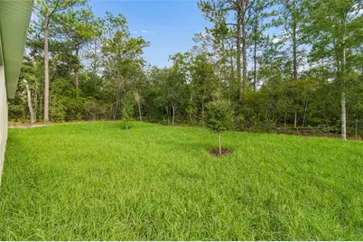 1591 Dolores, Dunnellon, FL 34434 - Photo 2