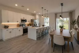 2487 SW 167th Loop, Ocala, FL 34473 - Photo 4