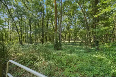16230 NW 53rd Street, Morriston, FL 32668 - Photo 32
