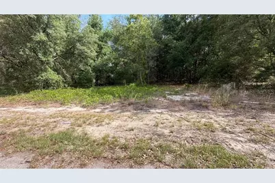 0 Guava Lane Place, Ocklawaha, FL 32179 - Photo 2