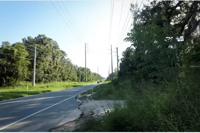 County Road 44, Leesburg, FL 34788 - Photo 4