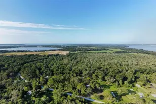 County Road 44, Leesburg, FL 34788 - Photo 1