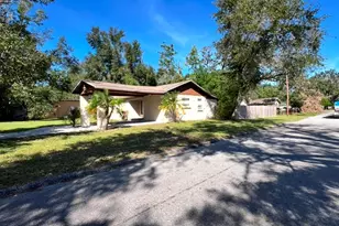 3910 E Ellicott St, Tampa, FL 33610 - Photo 2