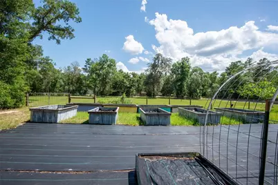 26721 Chippewa Trail, Brooksville, FL 34601 - Photo 6