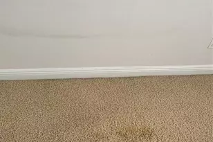 2204 Kettle Dr, Orlando, FL 32835 - Photo 16