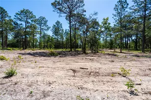 12691 SE 80th St, Morriston, FL 32668 - Photo 62