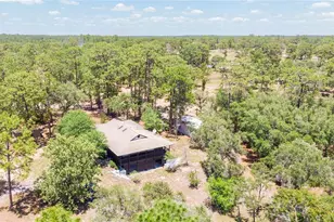 12691 SE 80th St, Morriston, FL 32668 - Photo 80
