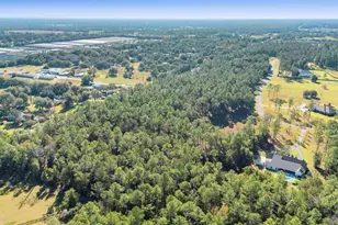 24250 Deep Springs Loop, Eustis, FL 32736 - Photo 10