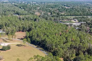 24250 Deep Springs Loop, Eustis, FL 32736 - Photo 8