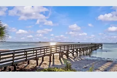 313 Crystal Beach Avenue, Crystal Beach, FL 34681 - Photo 56