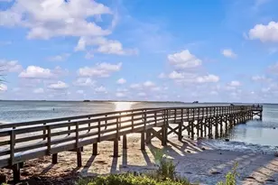 313 Crystal Beach Ave, Crystal Beach, FL 34681 - Photo 56