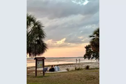 313 Crystal Beach Avenue, Crystal Beach, FL 34681 - Photo 54