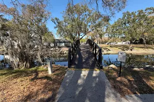 7177 E Bank Dr, Tampa, FL 33617 - Photo 12